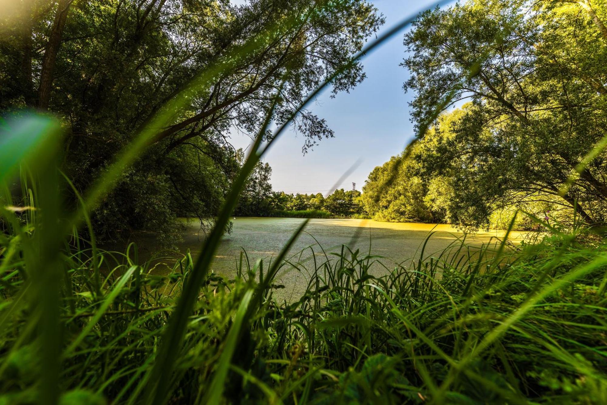 The Waterfront Hotel Spa & Golf Saint Neots Buitenkant foto