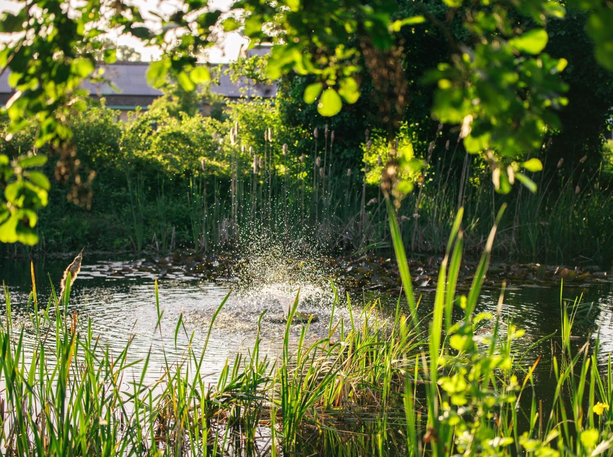 The Waterfront Hotel Spa & Golf Saint Neots Buitenkant foto